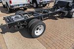 2024 Chevrolet LCF 4500HG Regular Cab RWD, Cab Chassis for sale #C220056 - photo 6