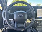 2024 Ford F-250 Crew Cab SRW 4WD, Pickup for sale #46693 - photo 17