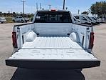 2024 Ford F-150 SuperCrew Cab 4WD, Pickup for sale #47056 - photo 14