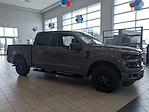 2024 Ford F-150 SuperCrew Cab RWD, Pickup for sale #47104 - photo 3