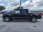 New 2024 Ford F-150 XLT SuperCrew Cab 4x2, Pickup for sale #47184 - photo 7