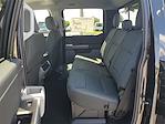 2024 Ford F-150 SuperCrew Cab 4x4, Pickup for sale #47361 - photo 10