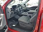 New 2024 Ford F-150 XLT SuperCrew Cab 4x4, Pickup for sale #47407 - photo 15