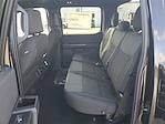 New 2024 Ford F-150 STX SuperCrew Cab 4x2, Pickup for sale #47640 - photo 9