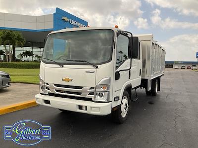 New 2024 Chevrolet LCF 4500HG Crew Cab 4x2, Cab Chassis for sale #NC4582F - photo 1
