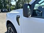 2024 Ford F-150 SuperCrew Cab 4x4, Pickup for sale #248894 - photo 26