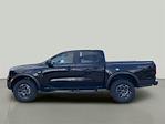 New 2024 Ford Ranger XLT SuperCrew Cab 4x4, Pickup for sale #249110 - photo 6