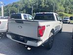 New 2024 Ford F-150 STX Super Cab 4WD, Pickup for sale #24F349 - photo 5