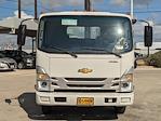 2024 Chevrolet LCF 4500HD Regular Cab RWD, Cab Chassis for sale #CC240068 - photo 8