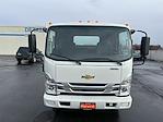 New 2024 Chevrolet LCF 4500HD Base Regular Cab RWD, Cab Chassis for sale #17012 - photo 4