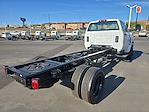 2024 Chevrolet Silverado 5500 Regular Cab DRW 4WD, Cab Chassis for sale #53518 - photo 2