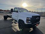 New 2023 Chevrolet Silverado 6500 Work Truck Regular Cab RWD, Cab Chassis for sale #792463 - photo 1