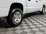 Used 2005 Dodge Dakota SLT Quad Cab 4x4, Pickup for sale #F206072 - photo 4