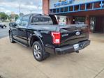 Used 2016 Ford F-150 XLT SuperCrew Cab 4x4, Pickup for sale #U2437231 - photo 5