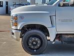 New 2024 Chevrolet Silverado 5500 Work Truck Regular Cab RWD, 18' Morgan Truck Body Gold Star Box Truck for sale #24CF1378 - photo 5