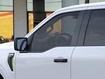 2024 Ford F-150 SuperCrew Cab 4x2, Pickup for sale #0000Y338 - photo 21