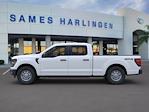 2024 Ford F-150 SuperCrew Cab 4x4, Pickup for sale #0000Y346 - photo 8