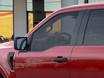 New 2024 Ford F-150 STX SuperCrew Cab RWD, Pickup for sale #0000Y755 - photo 20