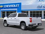 2025 Chevrolet Silverado 1500 Double Cab 4x2, Pickup for sale #CS08897 - photo 3