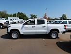 New 2024 Chevrolet Colorado Work Truck Crew Cab RWD, Pickup for sale #FR09691 - photo 4