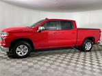 2024 Chevrolet Silverado 1500 Crew Cab 4x2, Pickup for sale #P251378A - photo 7