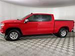 2024 Chevrolet Silverado 1500 Crew Cab 4x2, Pickup for sale #P251378A - photo 3