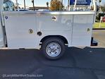 New 2024 Ford F-250 XL Regular Cab RWD, Cab Chassis for sale #MFD242306 - photo 3