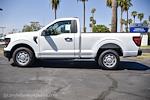 New 2024 Ford F-150 XL Regular Cab RWD, Pickup for sale #MFDF241691 - photo 3