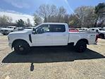 New 2024 Ford F-350 XLT Crew Cab 4WD, Pickup for sale #24164 - photo 20