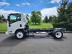 New 2024 Chevrolet LCF 4500HG Regular Cab 4x2, Cab Chassis for sale #G24639 - photo 4