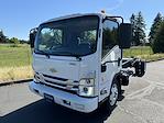 New 2024 Chevrolet LCF 5500HD Regular Cab 4x2, Cab Chassis for sale #G24682 - photo 5