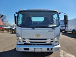 New 2024 Chevrolet LCF 4500HG Regular Cab 4x2, Cab Chassis for sale #N240001 - photo 3