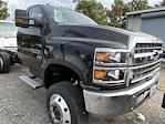 New 2024 Chevrolet Silverado 5500 Work Truck Regular Cab 4x4, Cab Chassis for sale #N240453 - photo 17