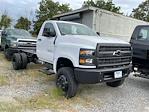 2024 Chevrolet Silverado 5500 Regular Cab DRW 4x4, Cab Chassis for sale #N240632 - photo 1