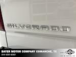 2024 Chevrolet Silverado 1500 Crew Cab 4x4, Pickup for sale #52974 - photo 27