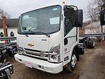 New 2024 Chevrolet LCF 4500HD Regular Cab 4x2, Cab Chassis for sale #16902 - photo 2