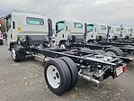 2024 Chevrolet LCF 4500HG Regular Cab 4x2, Cab Chassis for sale #206417 - photo 2