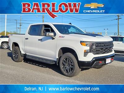 2024 Chevrolet Silverado 1500 Crew Cab 4x4, Pickup for sale #293099 - photo 1