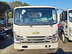 2024 Chevrolet LCF 5500XD Regular Cab 4x2, Cab Chassis for sale #303491 - photo 1