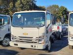 2024 Chevrolet LCF 5500XD Regular Cab 4x2, Cab Chassis for sale #303491 - photo 2