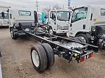 New 2024 Chevrolet LCF 5500XD Regular Cab 4x2, Cab Chassis for sale #304299 - photo 2