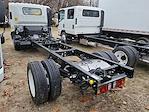 2024 Chevrolet LCF 5500XD Regular Cab 4x2, Cab Chassis for sale #305510 - photo 2