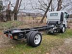 2024 Chevrolet LCF 5500XD Regular Cab 4x2, Cab Chassis for sale #305914 - photo 2