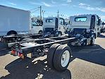 2024 Chevrolet LCF 5500XD Regular Cab 4x2, Cab Chassis for sale #307834 - photo 2