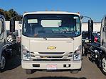 2024 Chevrolet LCF 5500XD Regular Cab 4x2, Cab Chassis for sale #4404 - photo 1