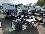 2024 Isuzu NRR Regular Cab 4x2, Cab Chassis for sale #310658 - photo 2