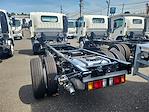 2024 Isuzu NRR Standard Cab 4x2, Cab Chassis for sale #R00762 - photo 2