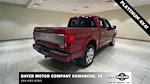 Used 2019 Ford F-150 Platinum SuperCrew Cab 4x4, Pickup for sale #52258 - photo 3