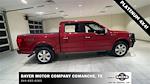 Used 2019 Ford F-150 Platinum SuperCrew Cab 4x4, Pickup for sale #52258 - photo 4