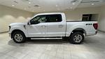 2024 Ford F-150 SuperCrew Cab 4x4, Pickup for sale #F27850 - photo 5